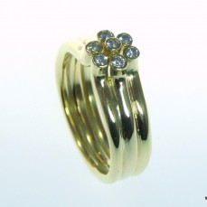 Ring Entourage moderm, diamant en goud (2)